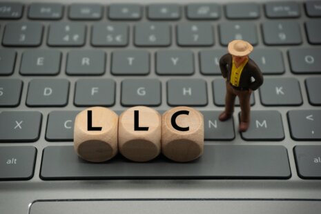 What Do You Call Yourself As Single-member LLC?